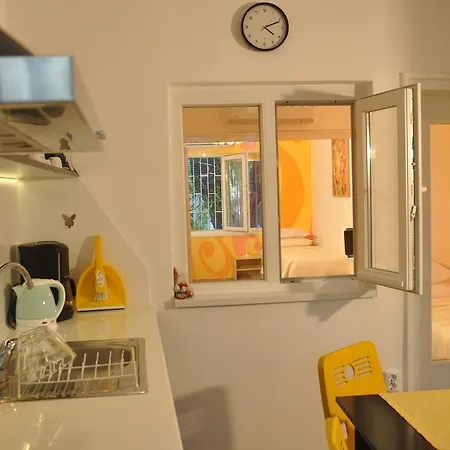 Arlequin * 瓦爾納